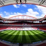 Discovery Benfica