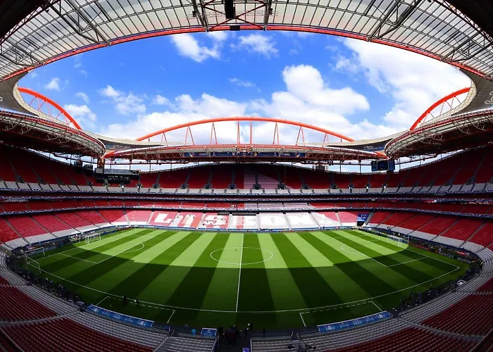 Discovery Benfica