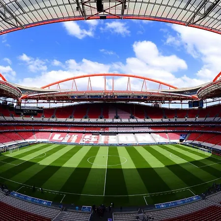 Discovery Benfica