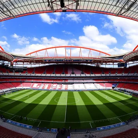 Discovery Benfica